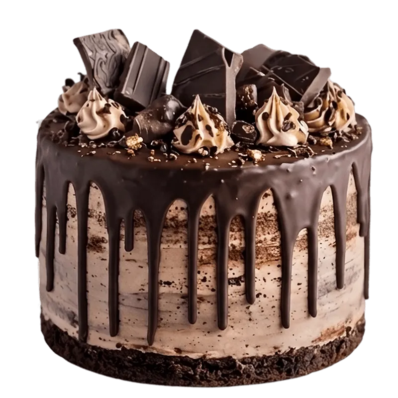 crunchy chocolate cake